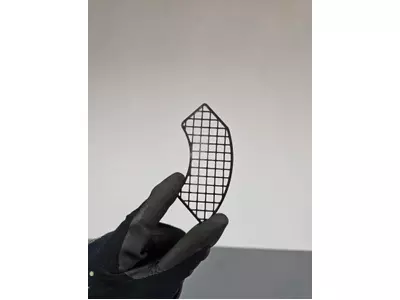 Media - 2026-02-19T094626.582.jpg